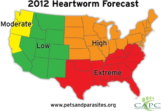 Companion Animal Parasite Council