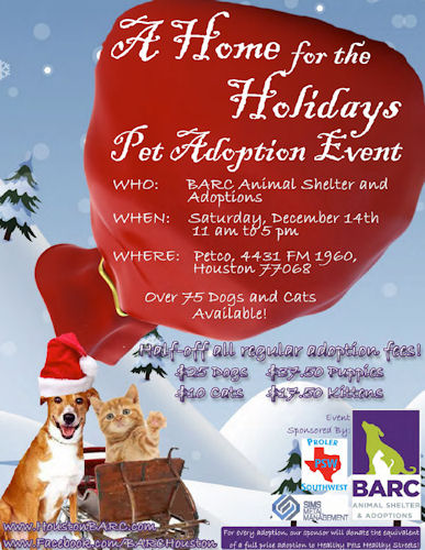 Local Cat Adoption Events in Virginia Petco Stores