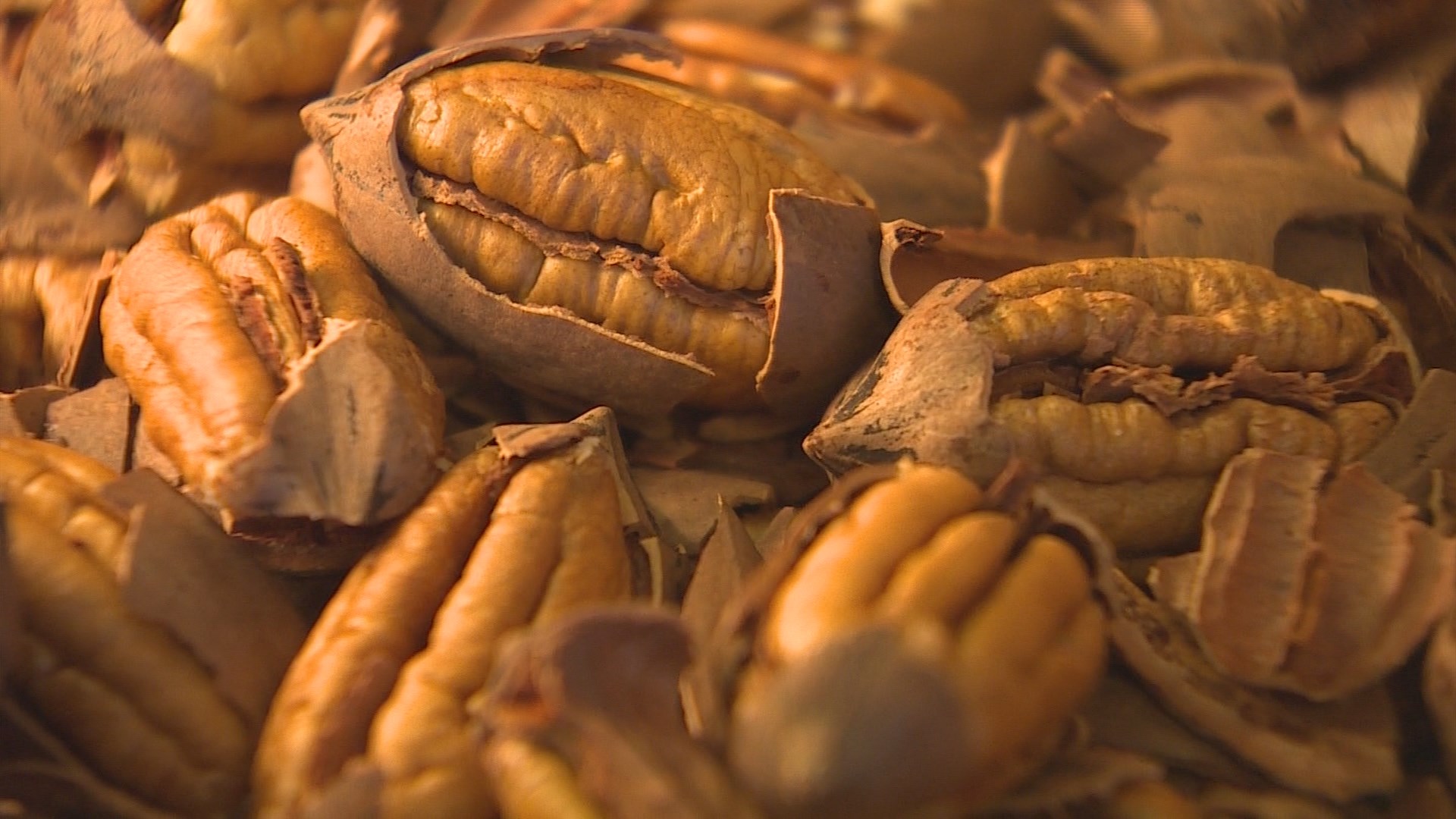 Pecan prices going nuts