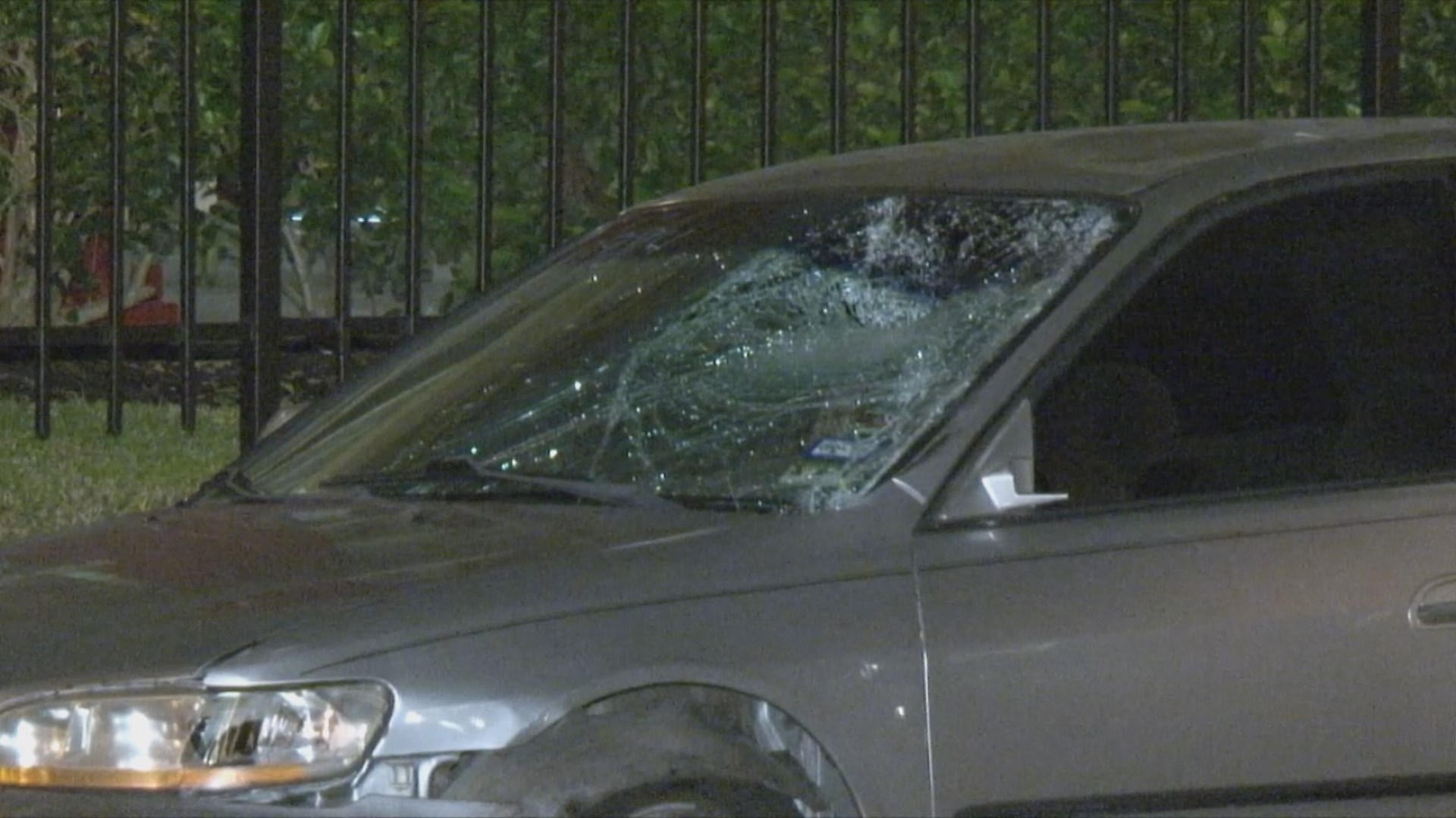 Pedestrian, dog killed after being hit by car in NW Houston | khou.com