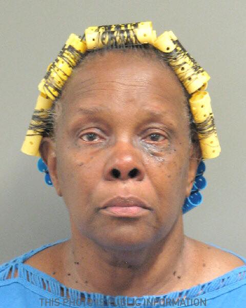 Grandmother charged with leaving 5-year-old in hot car | khou.com