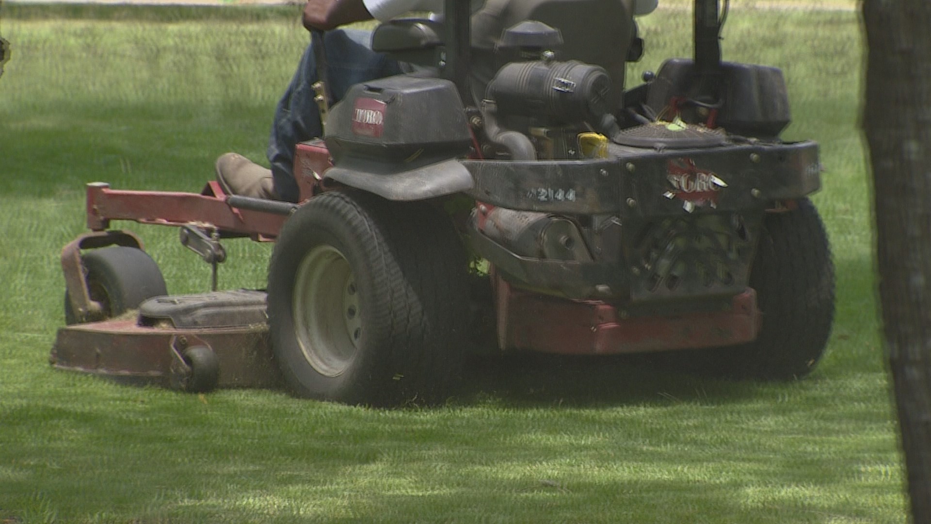 The high cost of mowing Houston's vacant lots