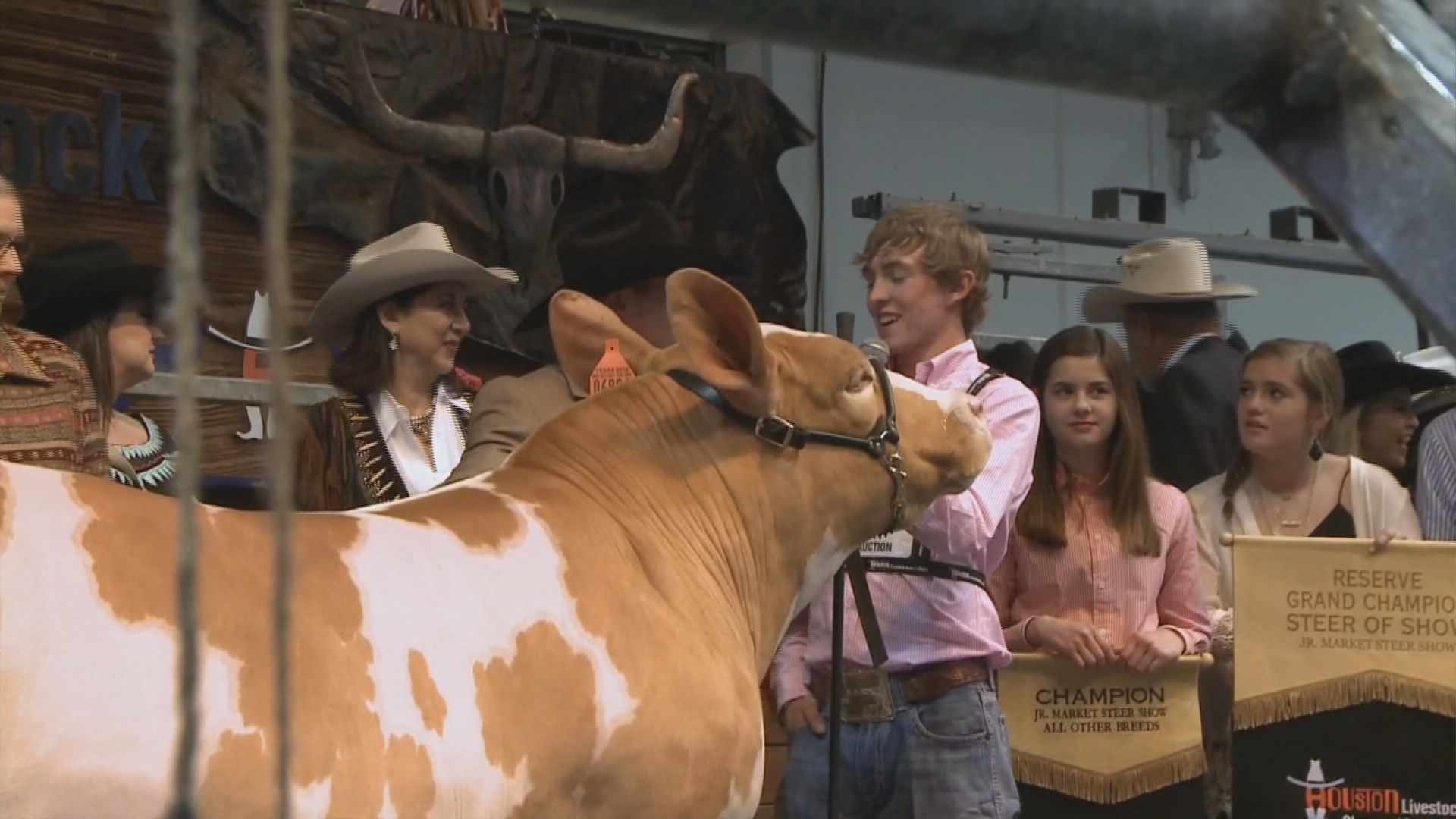 Grand Champion Junior Market Steer sells for 375K at HLSR