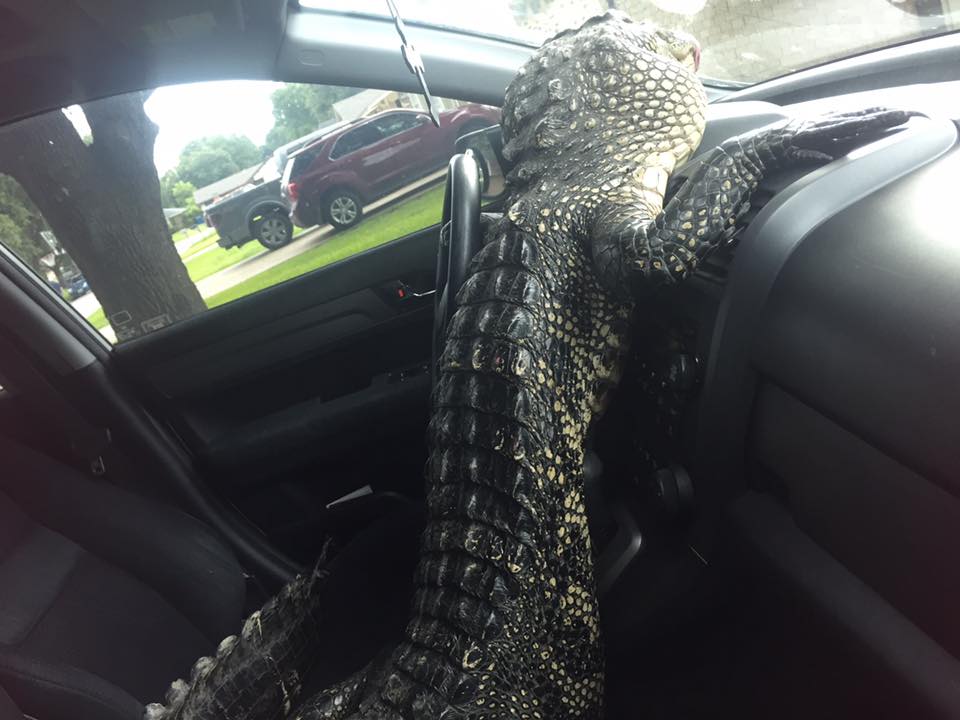 Florida Gator Car Seat Covers 2017 Gmc Sierra 1500 Slt At Gator Chevrolet Serving