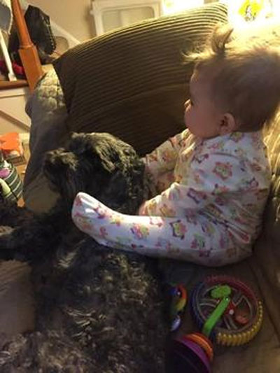 Beloved dog dies after shielding baby from fire | khou.com