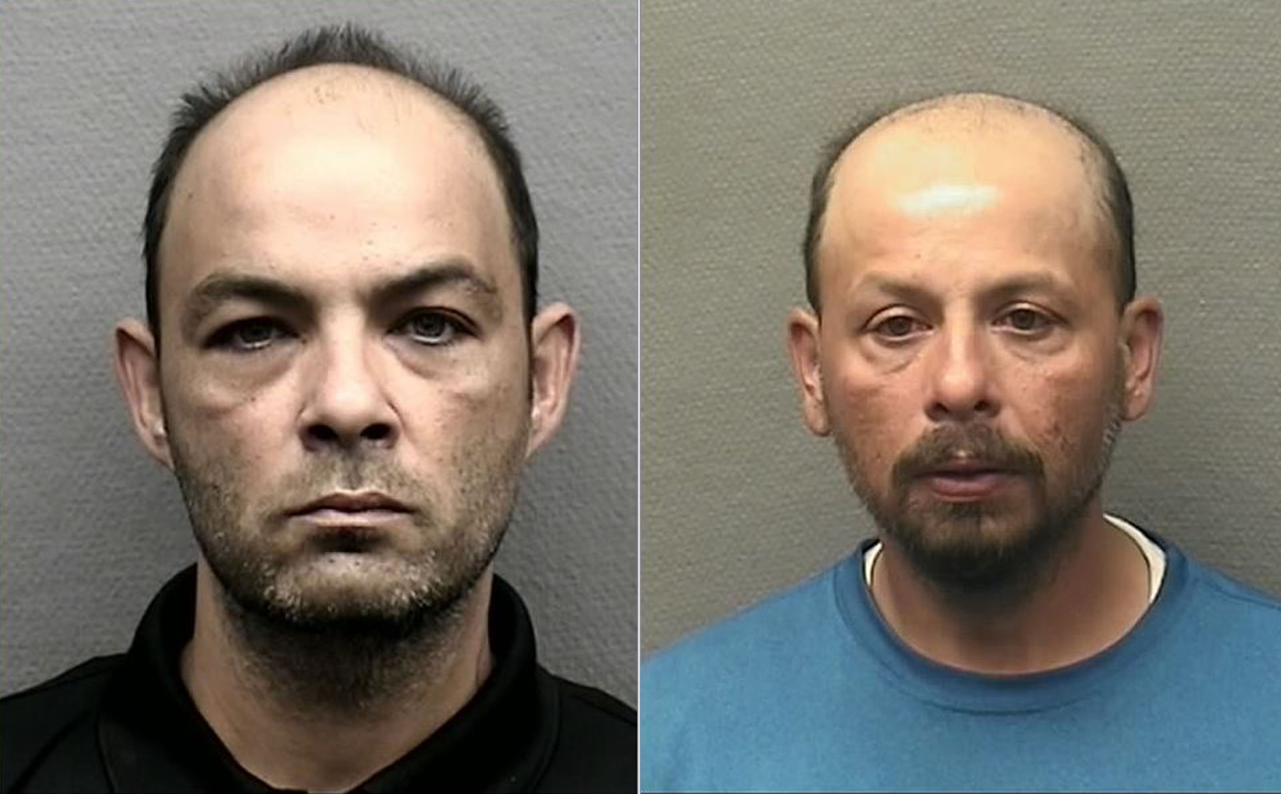 Two men charged in tree trimming scam | khou.com