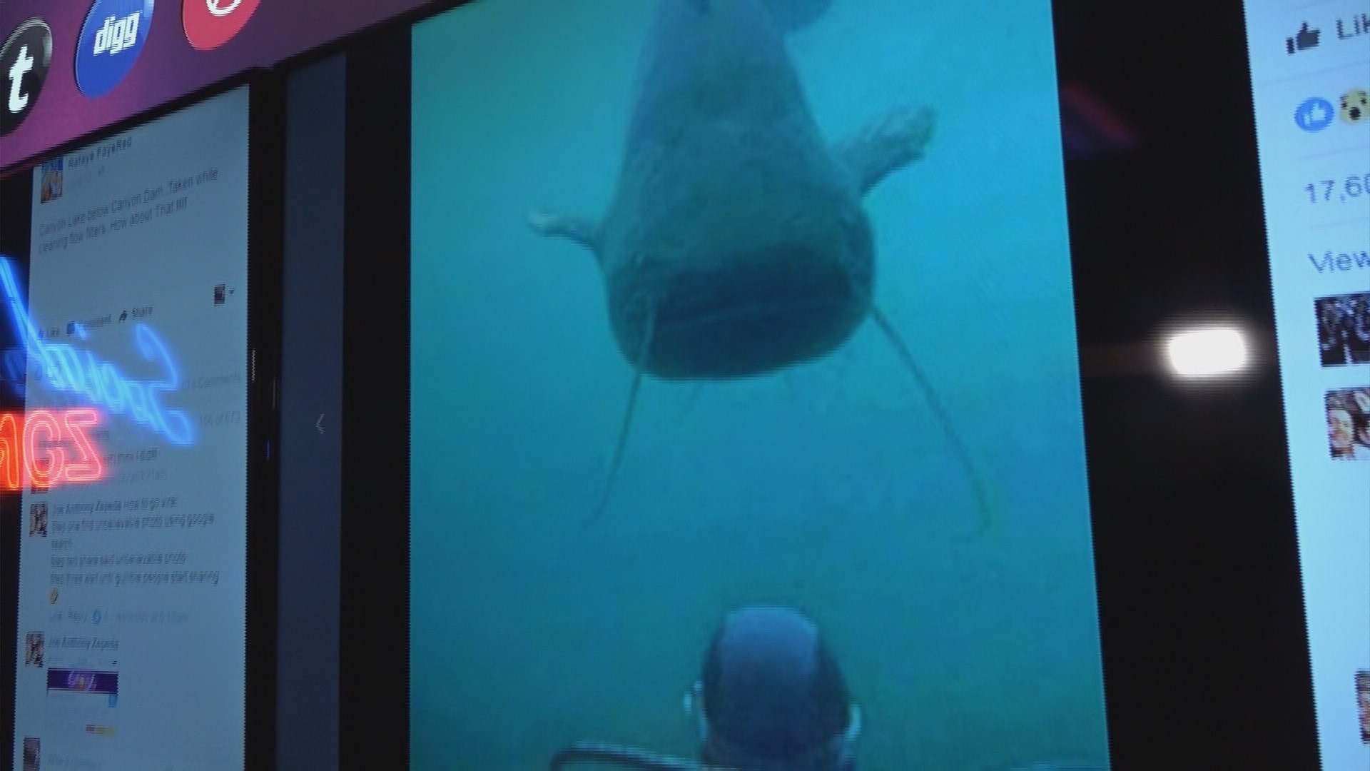 VERIFY Is giant catfish big enough to swallow a human?