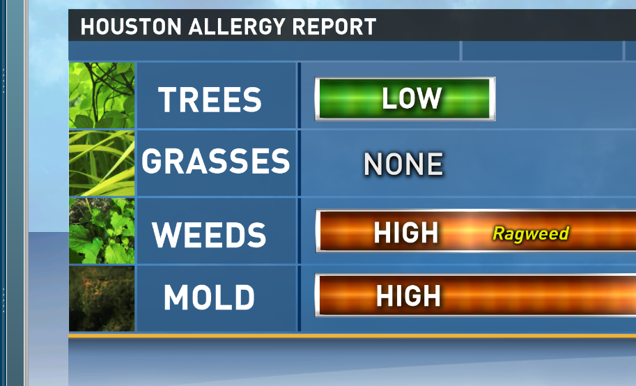Mold Is A Big Problem Right Now