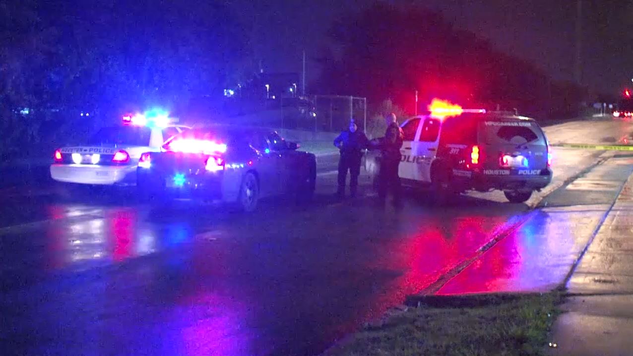 Woman hit, killed after walking into East Freeway traffic | khou.com