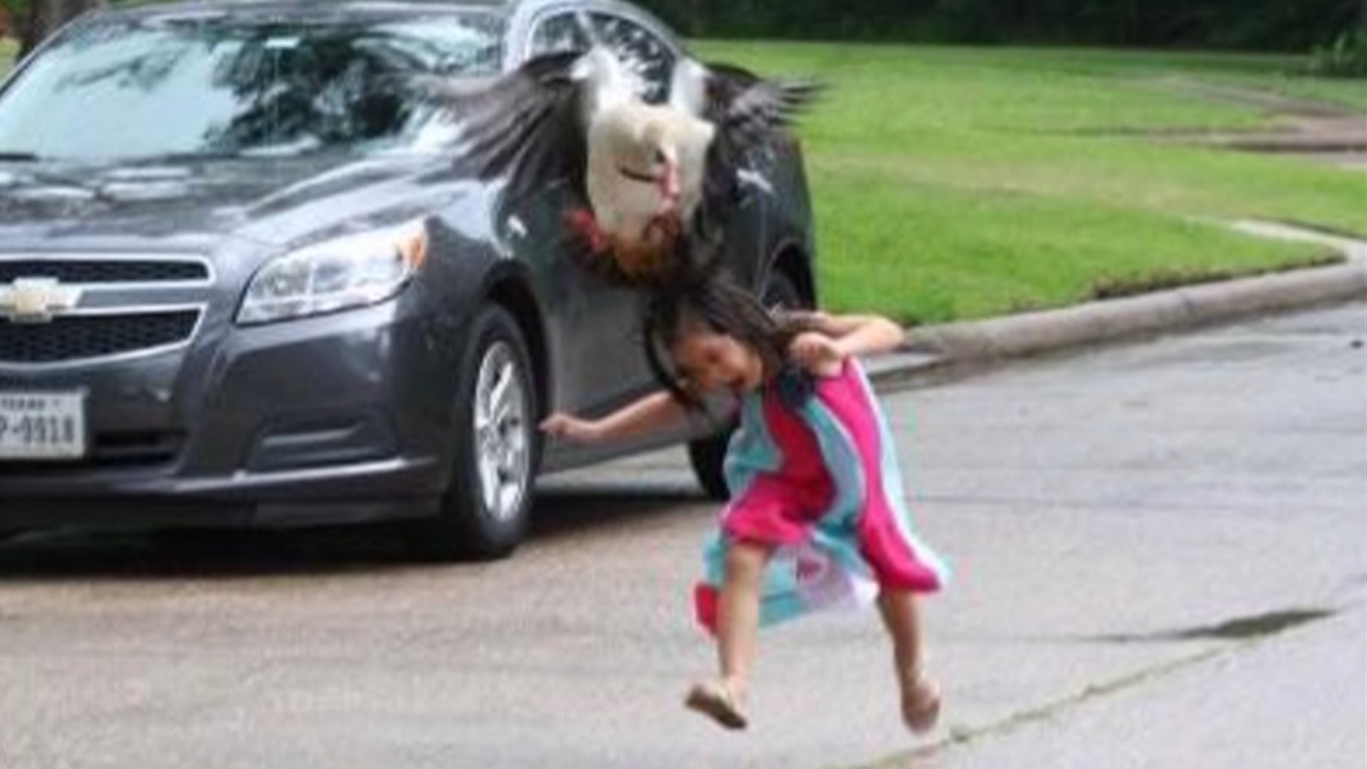 PHOTOS: Goose attack goes viral | king5.com
