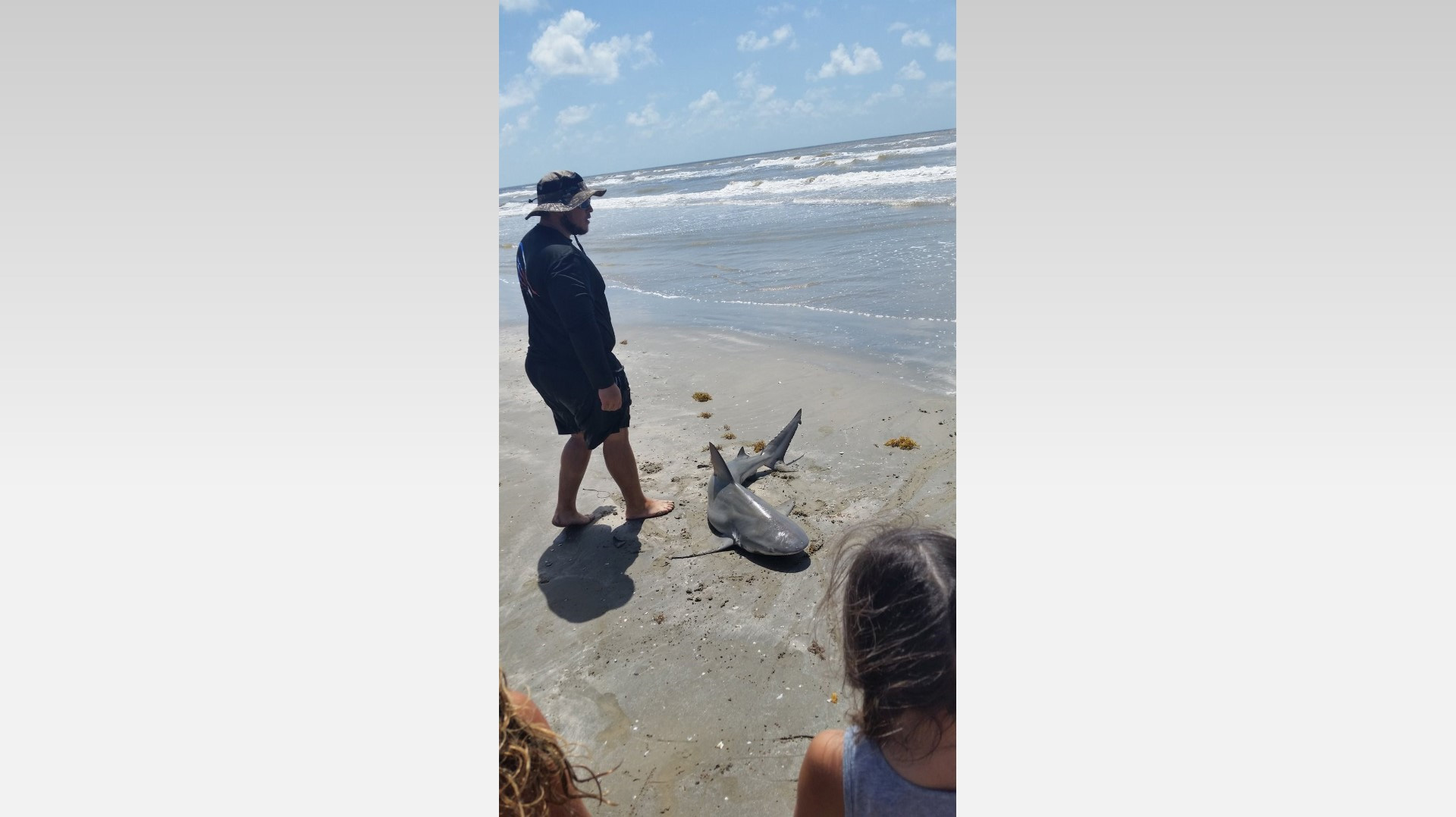 Fisherman catches shark off the coast of Freeport | kcentv.com